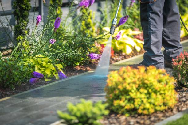 Best Pre-Holiday Cleaning  in Moreland Hills, OH